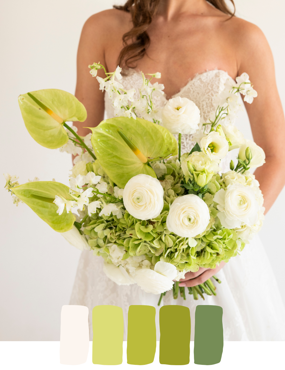 modern hydrangea 