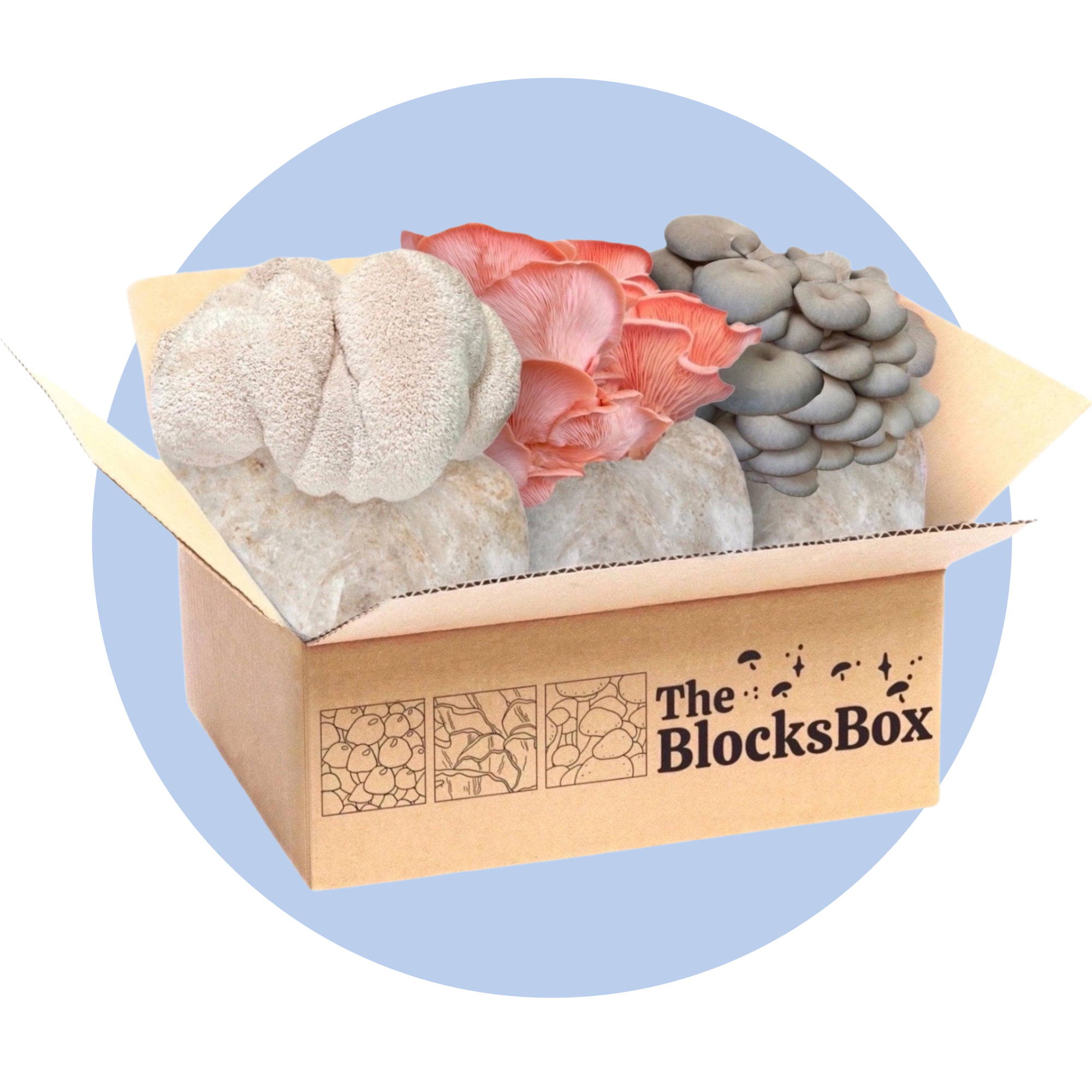 The BlocksBox Mushroom Kit Subscription