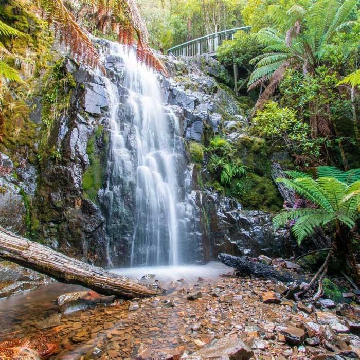 Black glen falls, Myrtle Falls, Tasmania