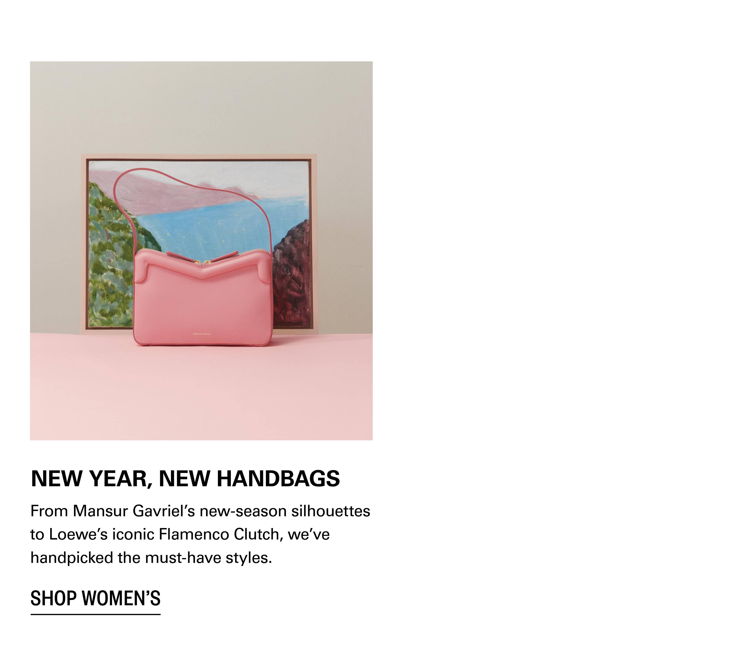 Shop Handbags