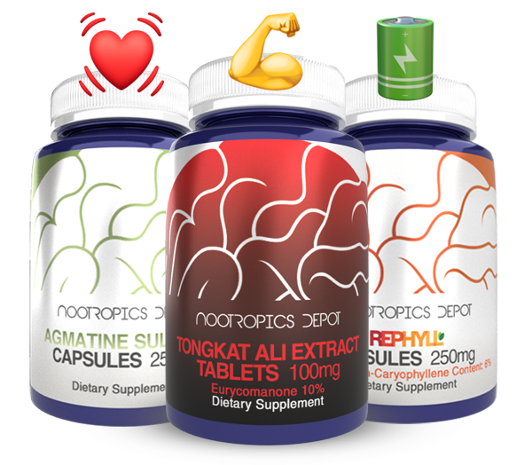 Workout Supplements Guide by Nootropics Depot