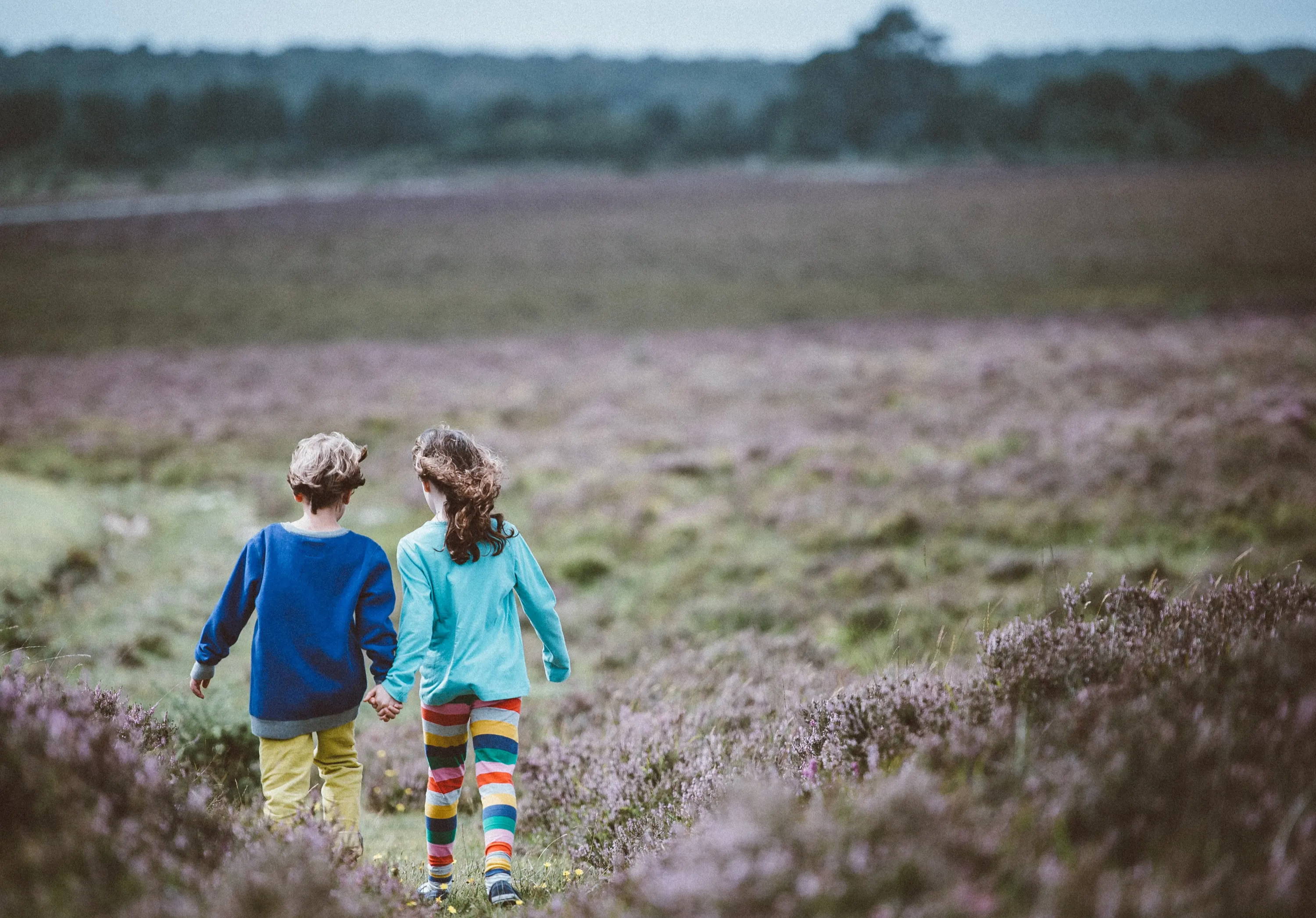 Dve deti - dievča a chlapec, kráčajú cez pole držiac sa za ruky. Vyzerajú, že kráčajú v ústrety dobrodružstvu