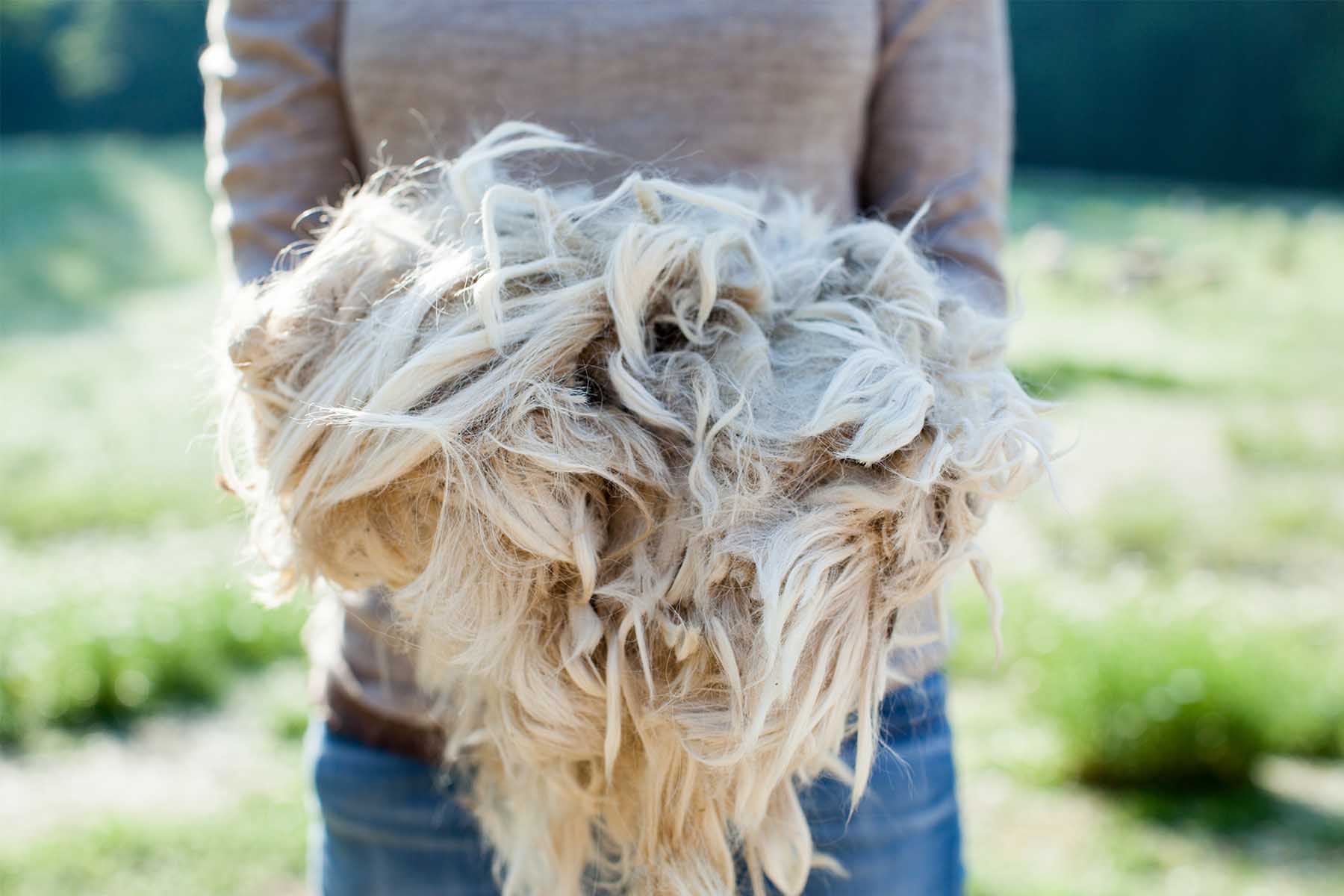 A person holding a large bundle of fluffy, light-colored fibers outdoors.