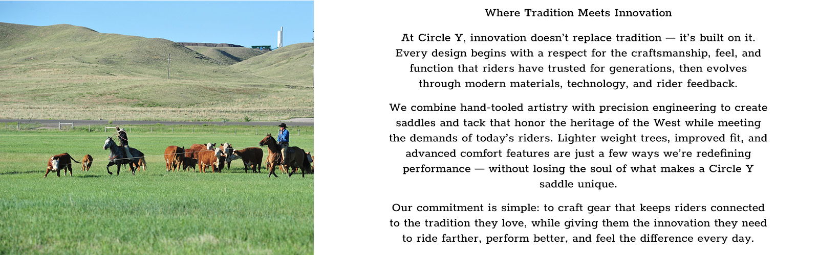 Horses and riders in a grassy field with mountains in the background.