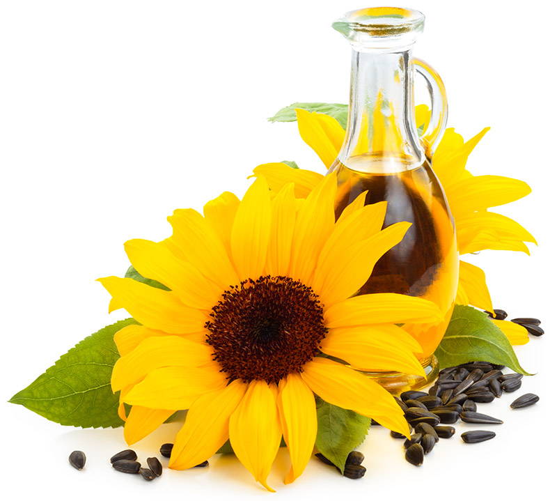 Sunflower Oil