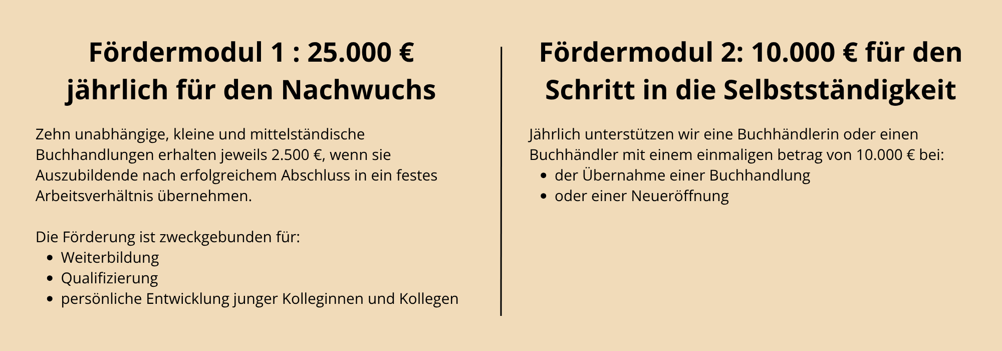 Text detailing funding models for youth and self-employment support.