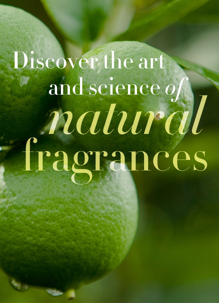 Natural fragrances