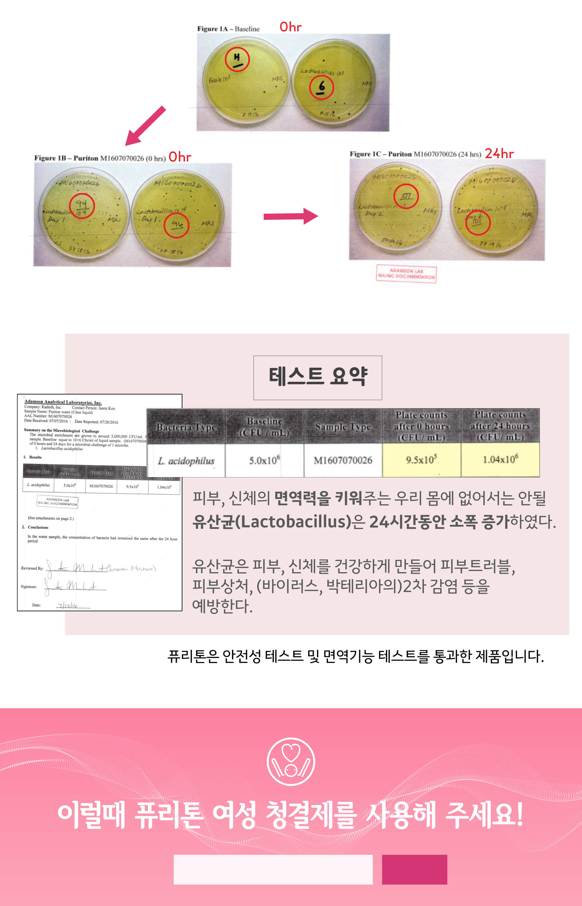 파뷰성처 치유 또는 피부 재생 특허 질벽의 상처 치유  유산균 테스트 피부, 신체의 면역력을 키워주는 우리몸에서는 안될 유산균 lactobacillus 는 24시간동안 소폭증가하였다 유산균은 피부 신체를 건강하게 만들어 피부 트러블 피부 상처 바이러스 박테리아의 2차 감염등을 예방한다 박테리아 테스트 여성 질염의 주된 원인으로 외으부소양증과 냉대하증을 유발하는 원인균인 칸디다균 사면 여성 방광염의 원인균 대장균 사명  