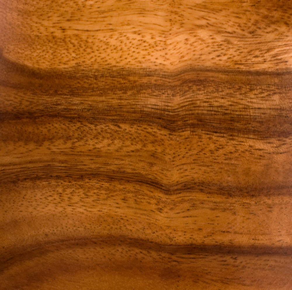 What is Acacia Wood?