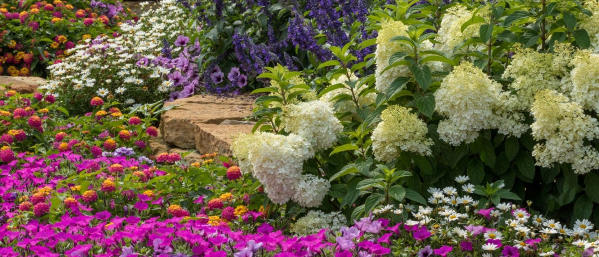 Proven Winners Display Garden