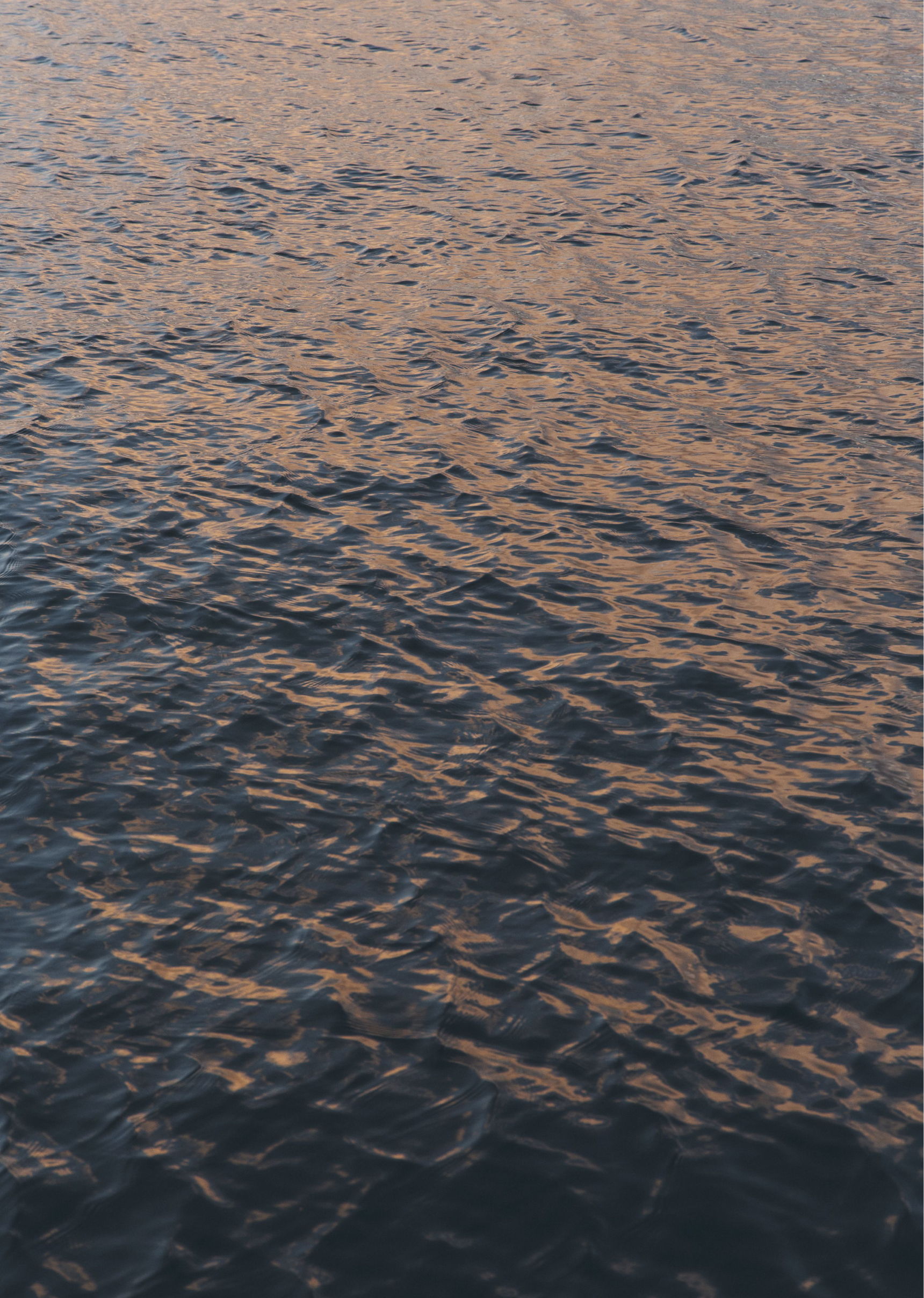Rippling water surface reflecting soft evening light.