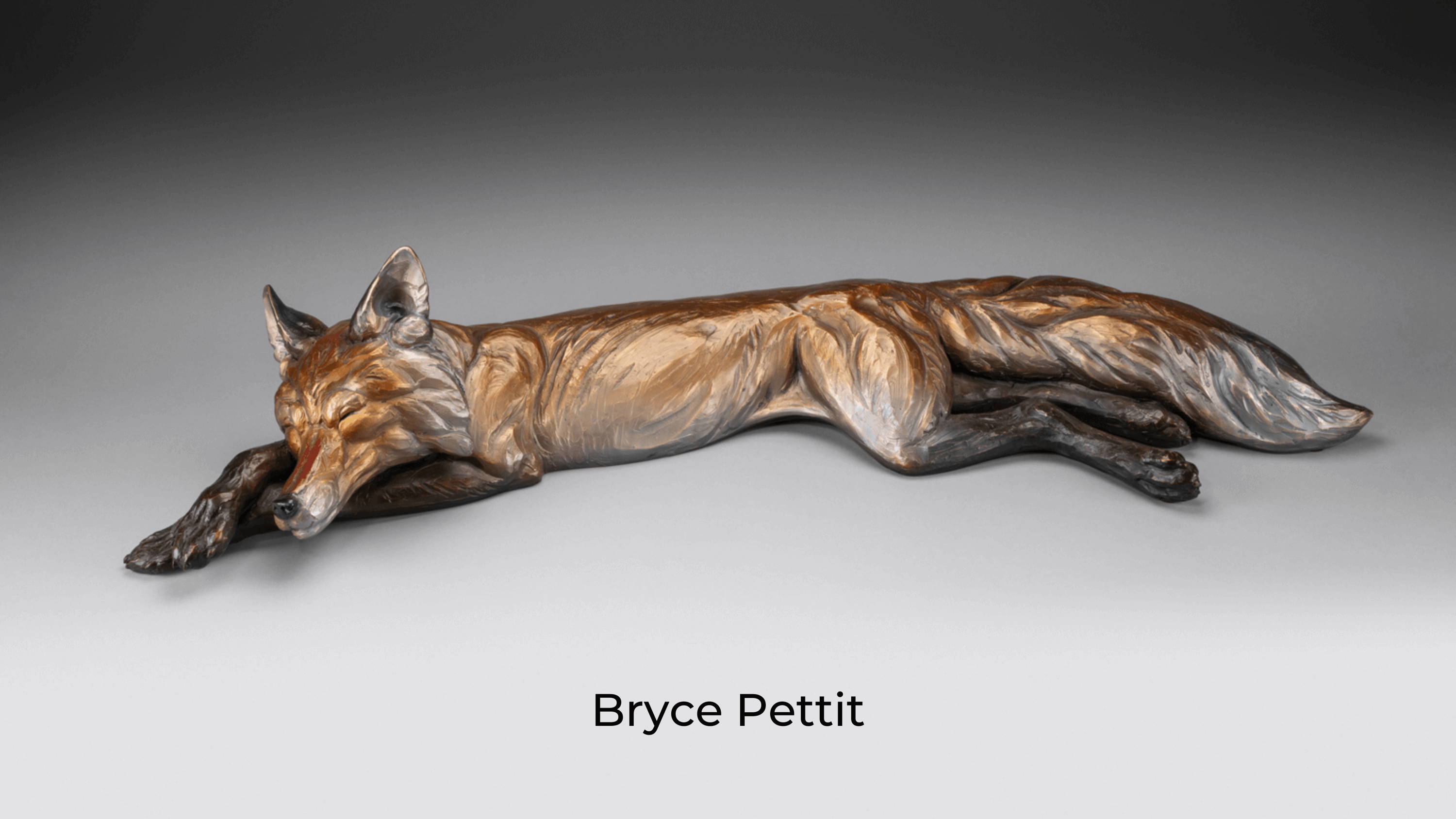 David Yarrow on sale. Bryce Pettit. Santa Fe Art Gallery. David Yarrow Photography. 