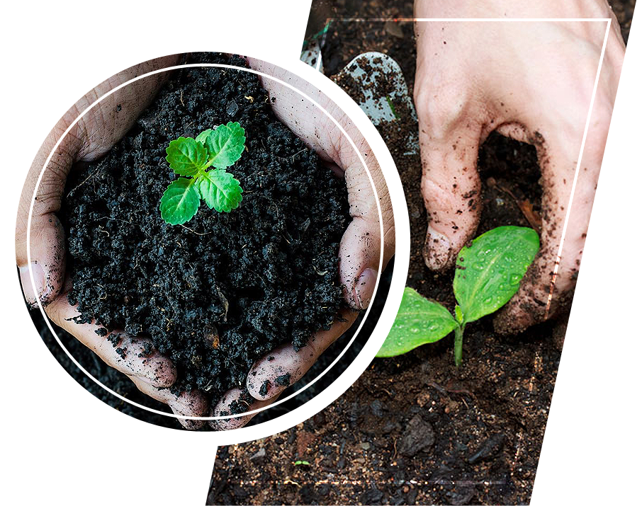 A person holding a soil