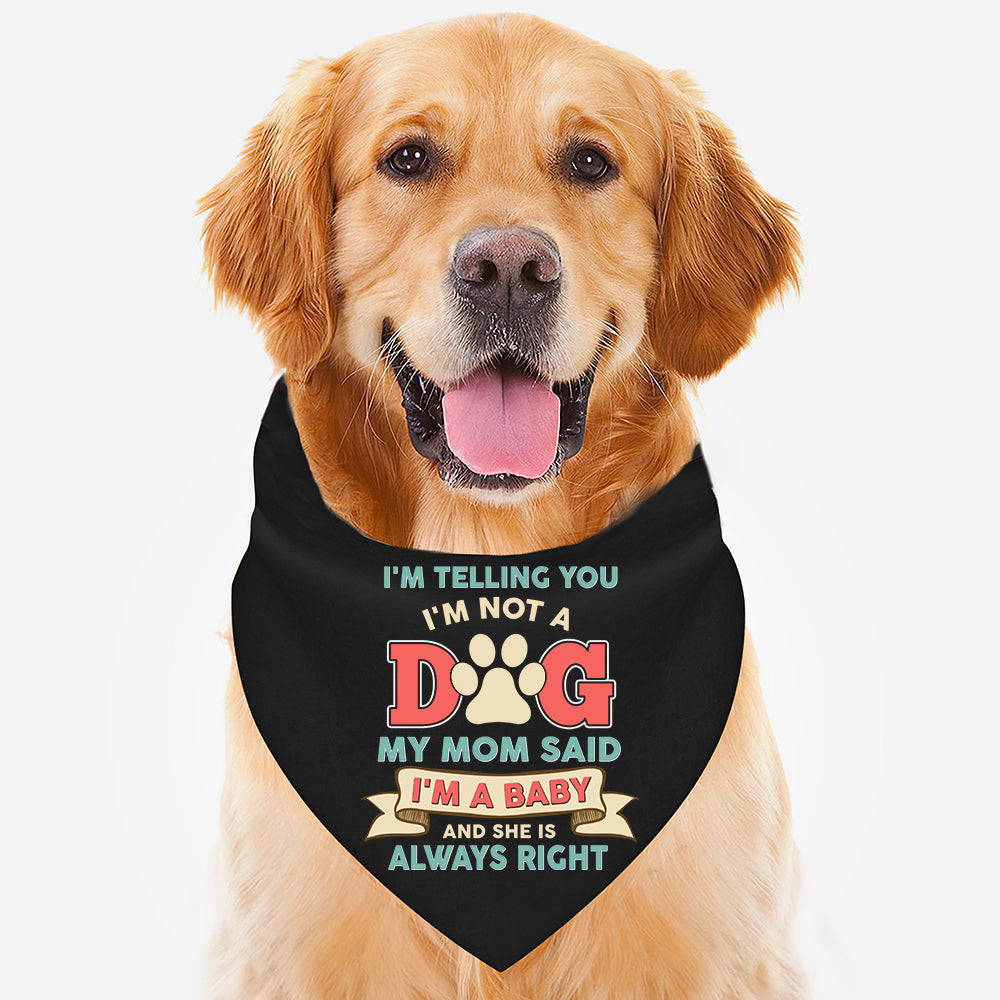 funny dog bandana