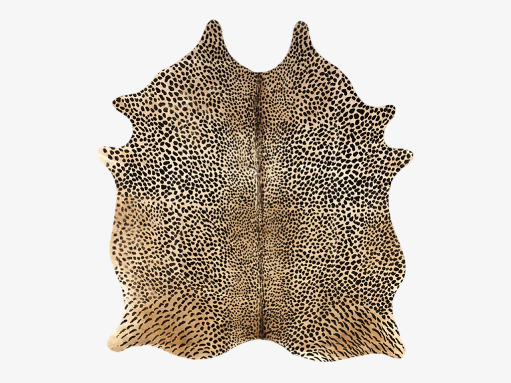 Leopard print animal hide on a white background.
