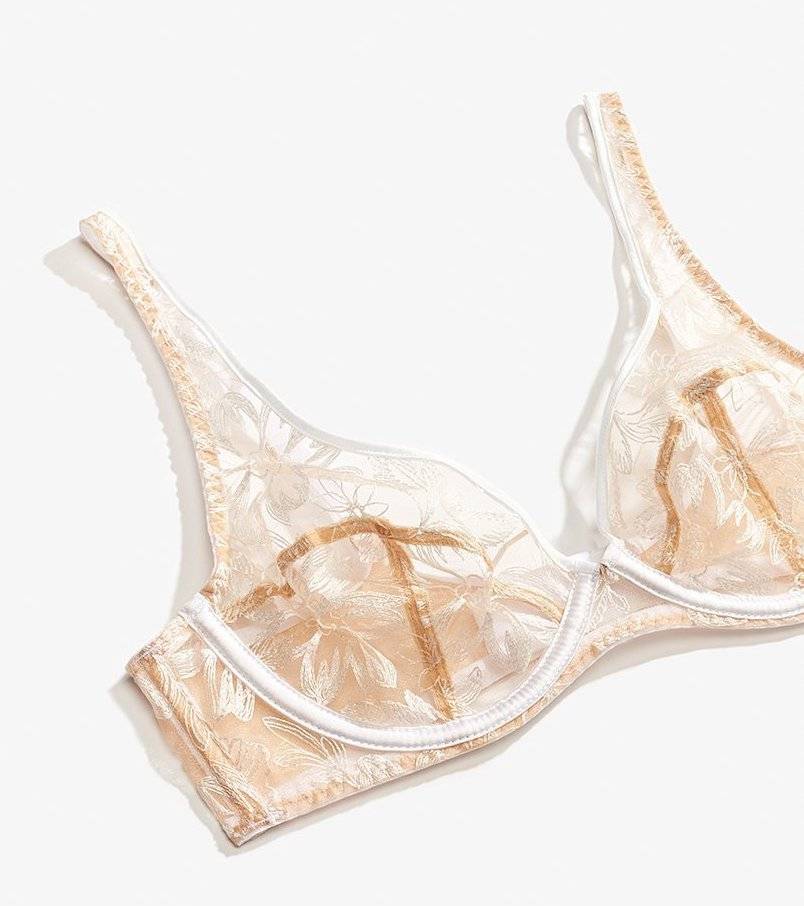 True Cost of a Bra – SHEER