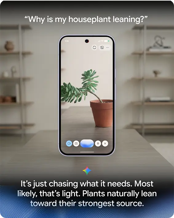 A smartphone displaying a leaning houseplant with advice about plant care.