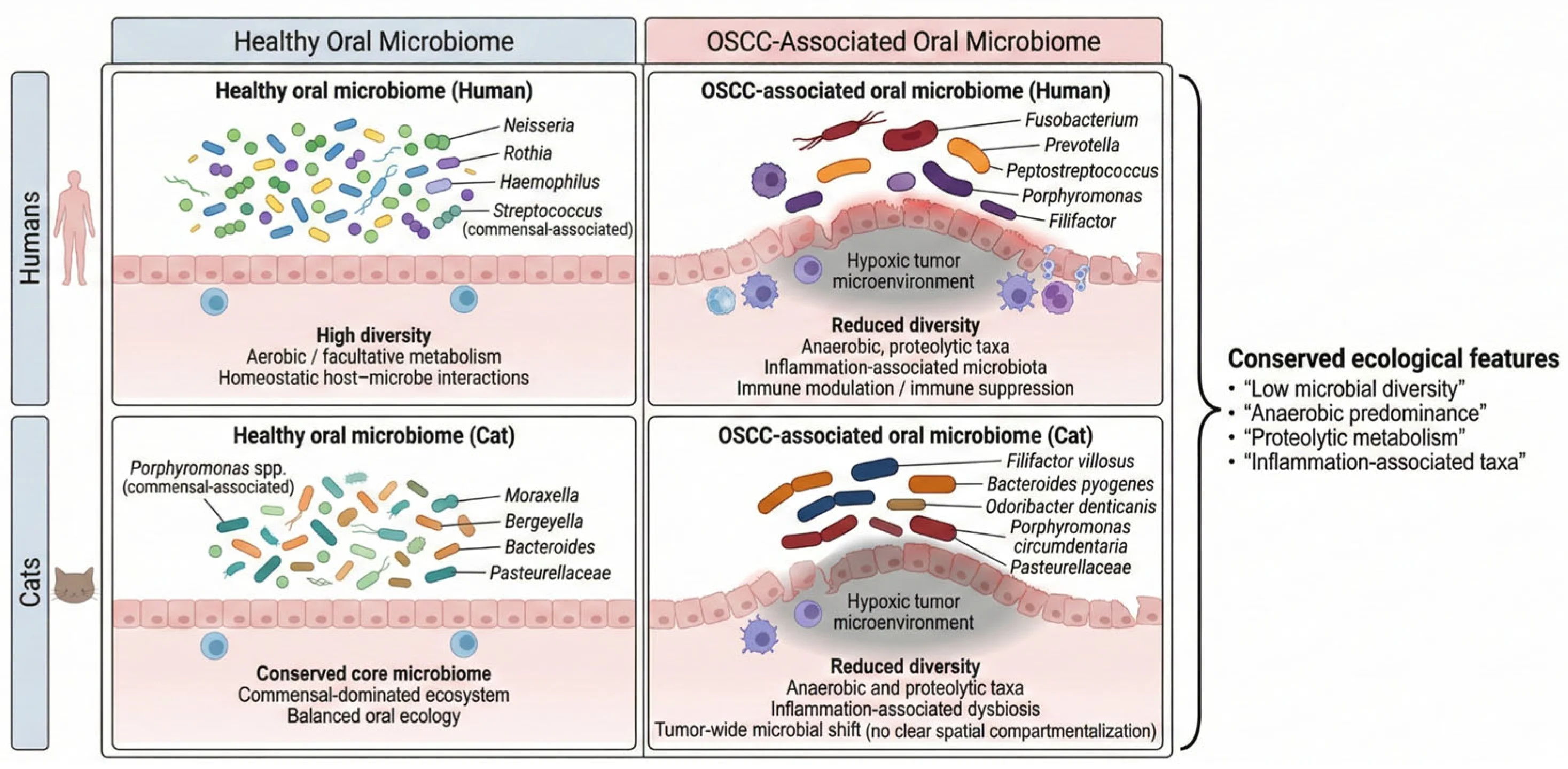 Diagram comparing healthy and diseased cell membranes and their components.
