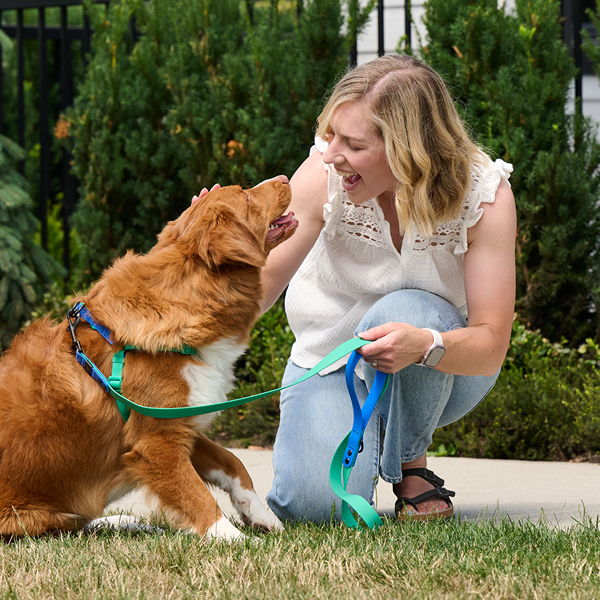 Woman interacting happily with a golden retriever dog outdoors.