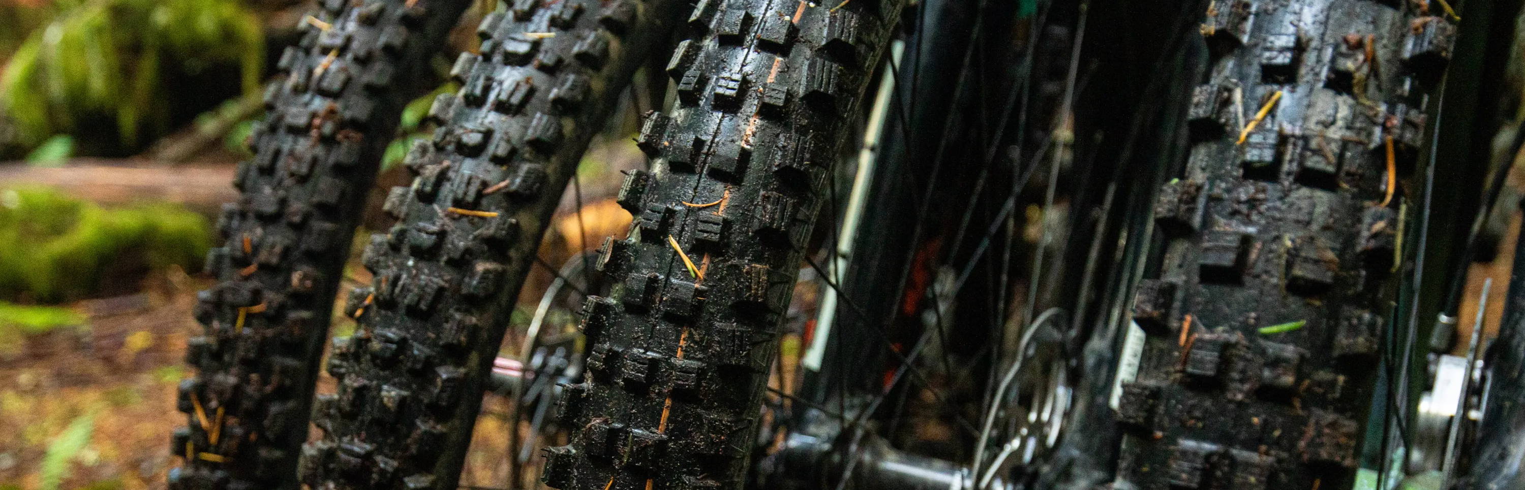 detail of dirty mountain bike tires maxxis shorty schwalbe big better maxxis assegai