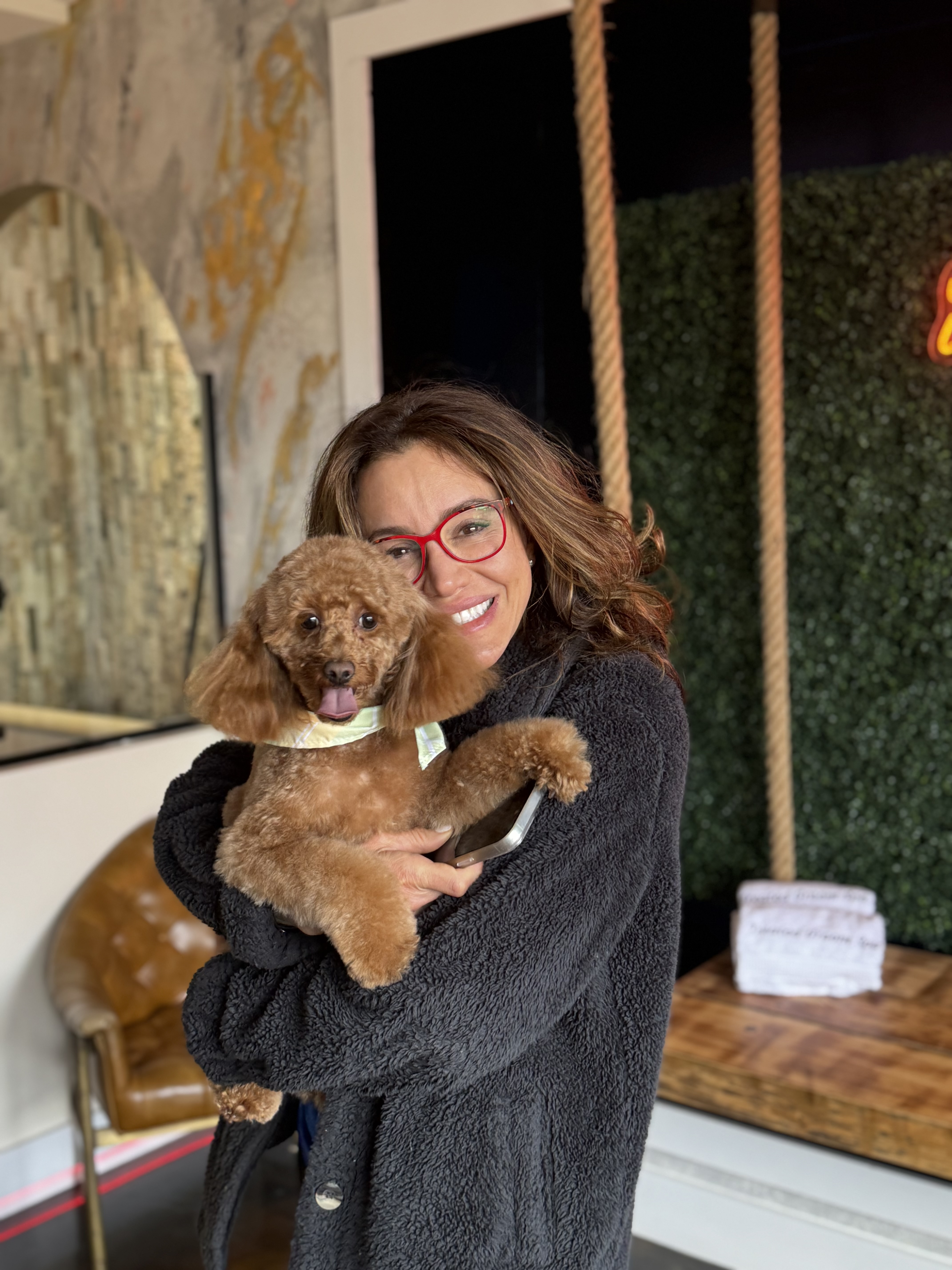 Person holding a freshly groomed brown dog