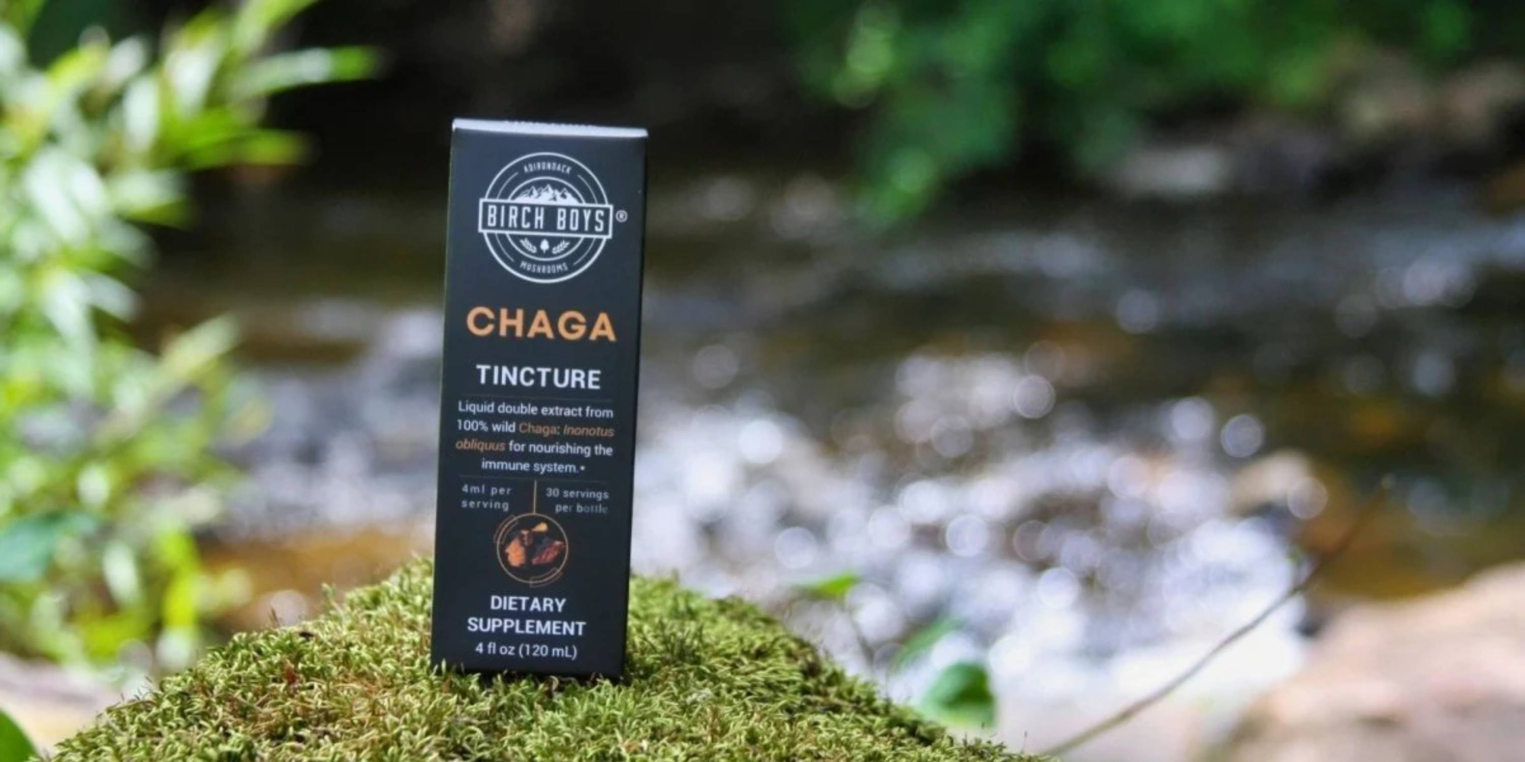 Birch Boys Double Extraction Chaga Tincture on a mossy rock in front of a river