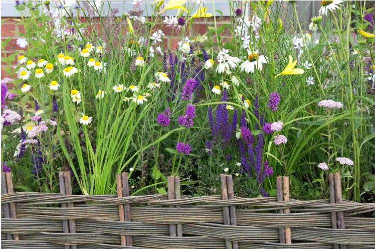 Cheerful Summer Border