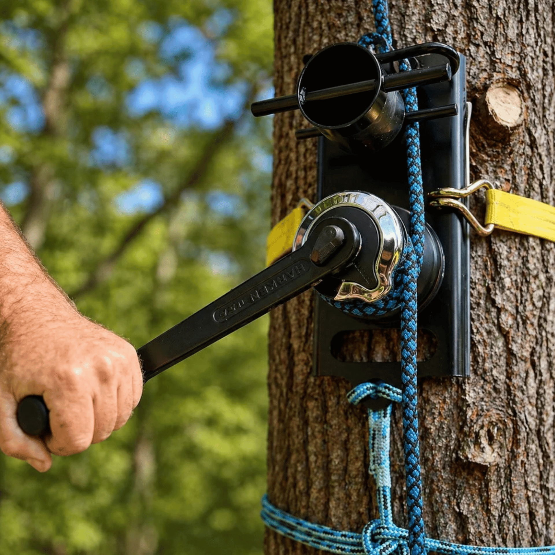 A person using a tool on a tree with ropes attached.