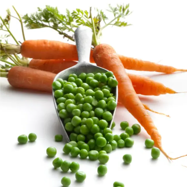 Vegetable Garden Seeds