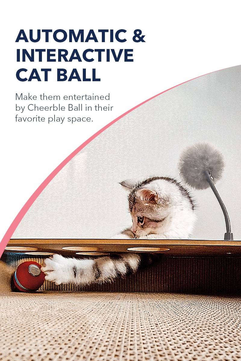automatic & interactive cat ball