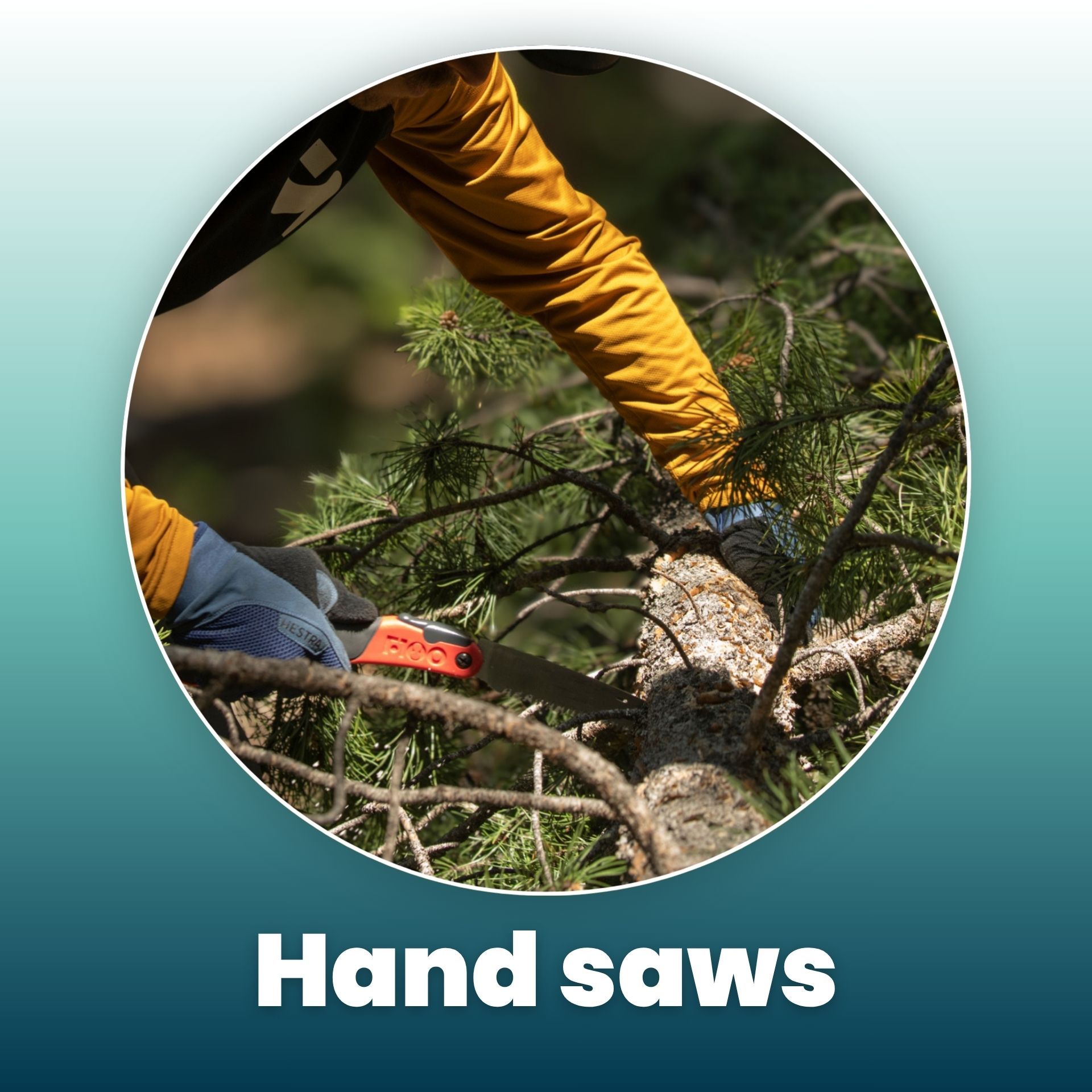 Person using a hand saw on a branch.