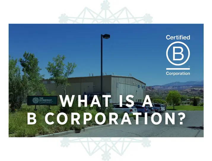 What is a B Corporation?