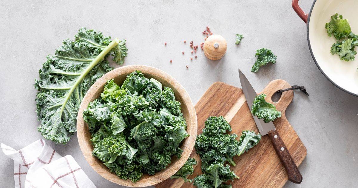 kale is safe vegetable for dogs
