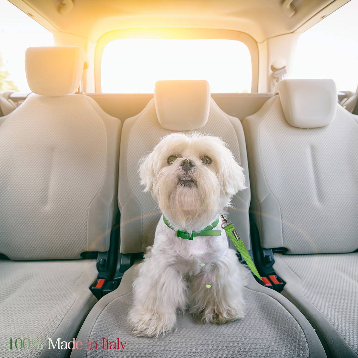 犬用 車用 PERROS シートベルトリード 車専用の安全リード 愛犬を確実に固定 シートベルトアタッチメント付き