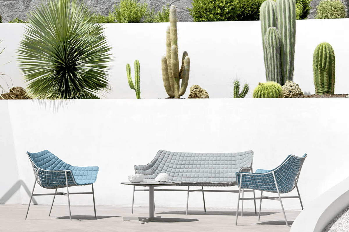  A white wall adorned with a cactus and a blue chairs make a serene outdoor lounge space.