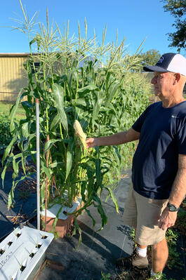 Bob shows off corn growing in the EarthBox