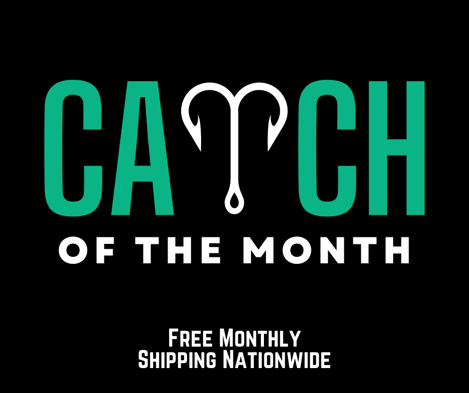 CATCH OF THE MONTH PACKAGES