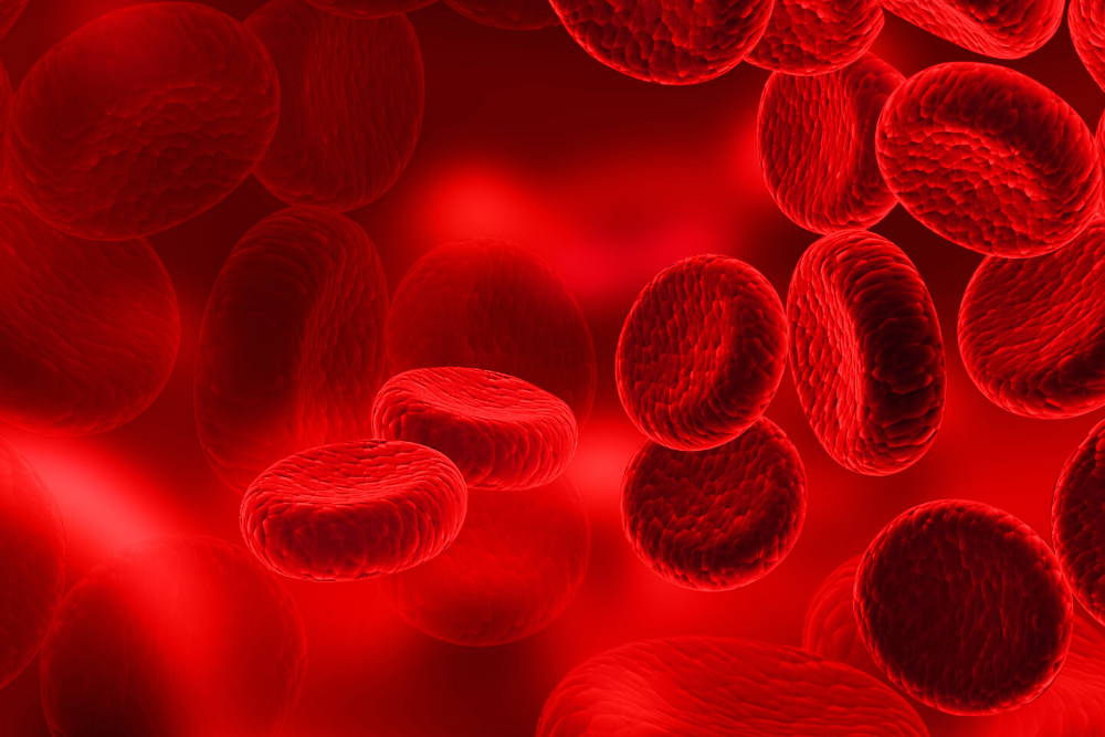 red blood cells|benefits of b12
