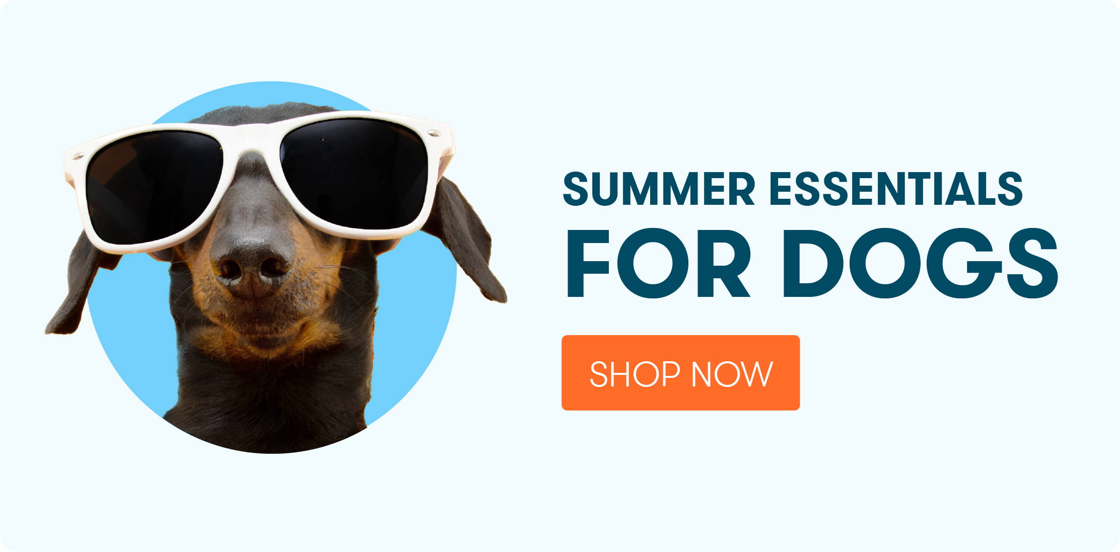 Summer Essentials For Dogs