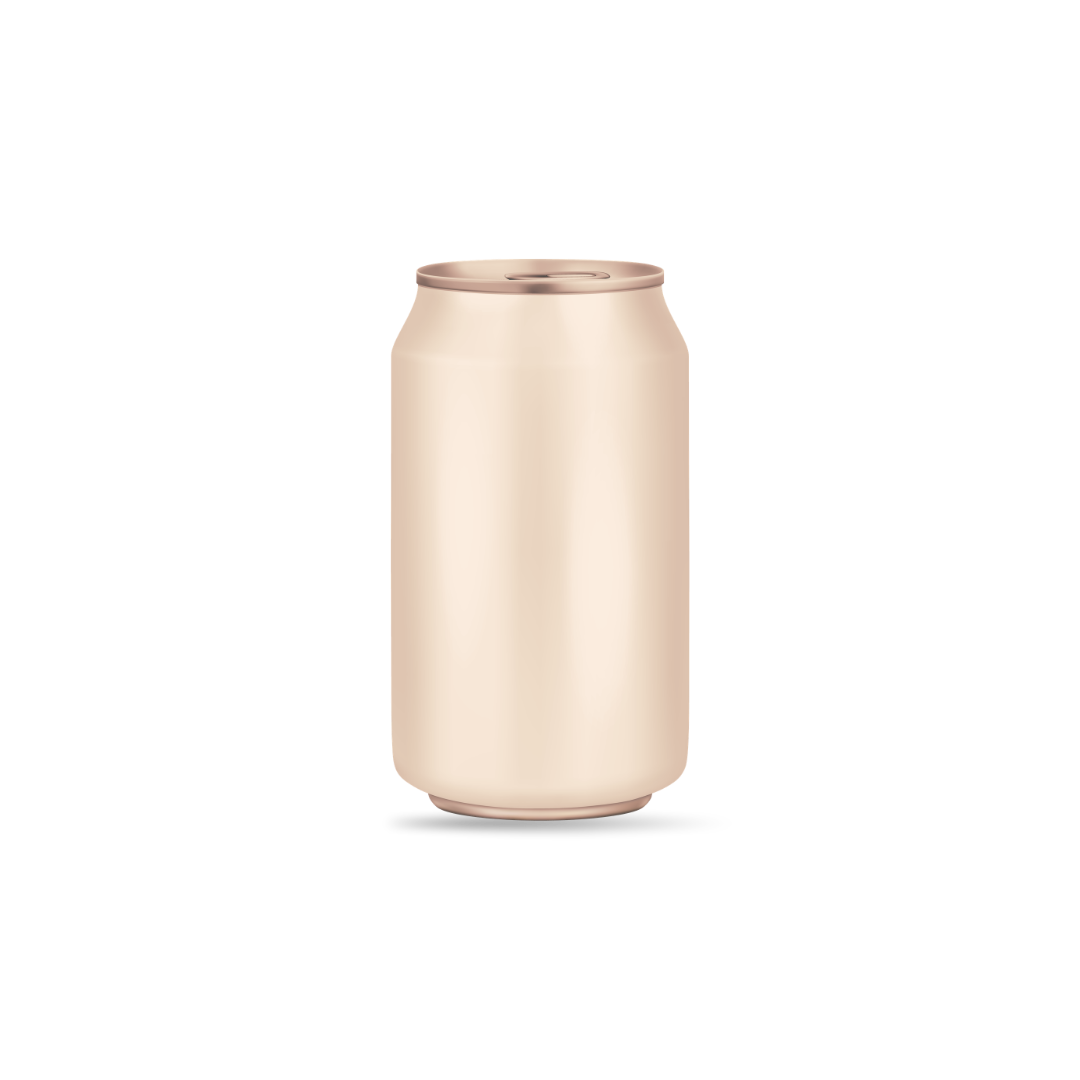 A plain, unmarked aluminum beverage can on a white background.