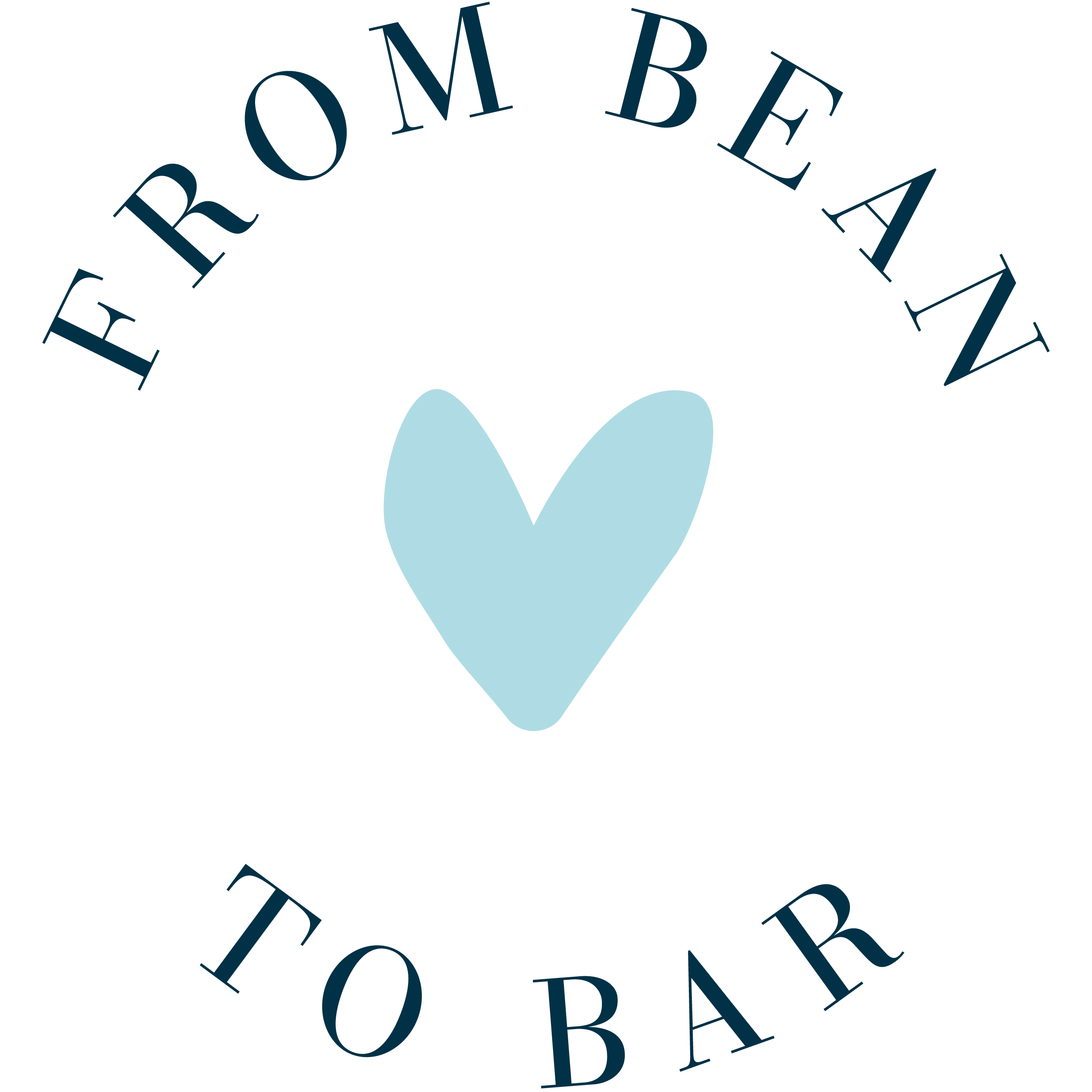 from bean to bar