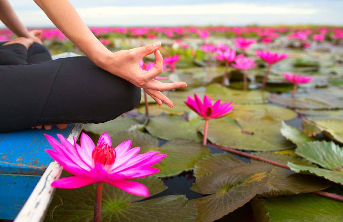 Serenity and yoga practicing on the red lotus sea | Heal The Mind-Body Connection | thoughts and feelings