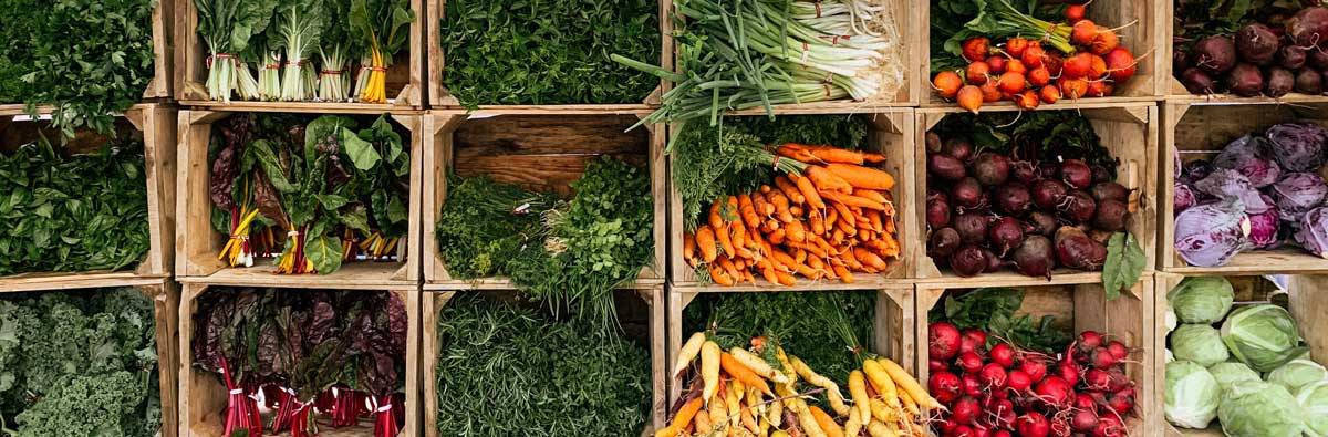 A beautifully colorful selection of vegetables in boxes