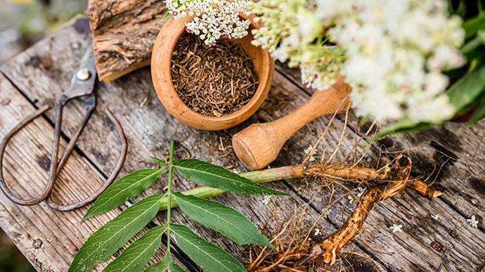 hair loss treatment natural