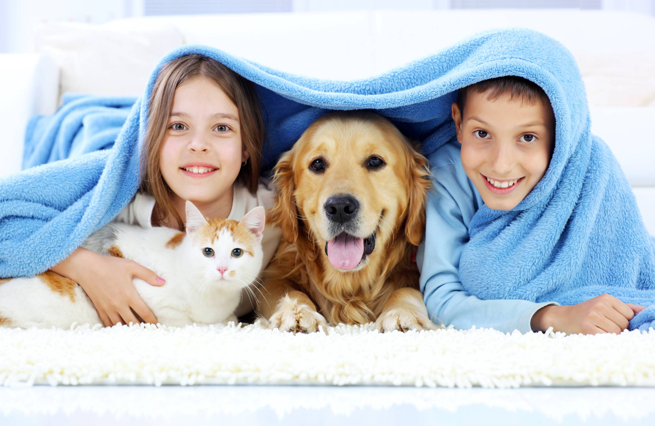 Nibbs Club Healthy Dog and Cat Treats - Positive Mental Health Effects of Pets