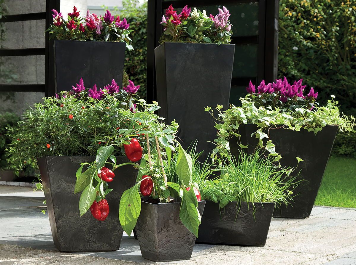 Black self-watering Artstone planters outdoors