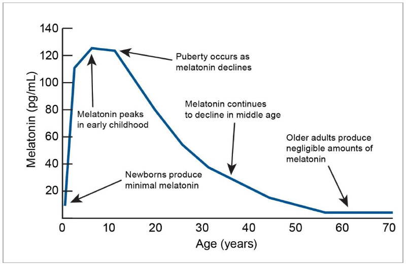 Melatonin production across the lifecycle