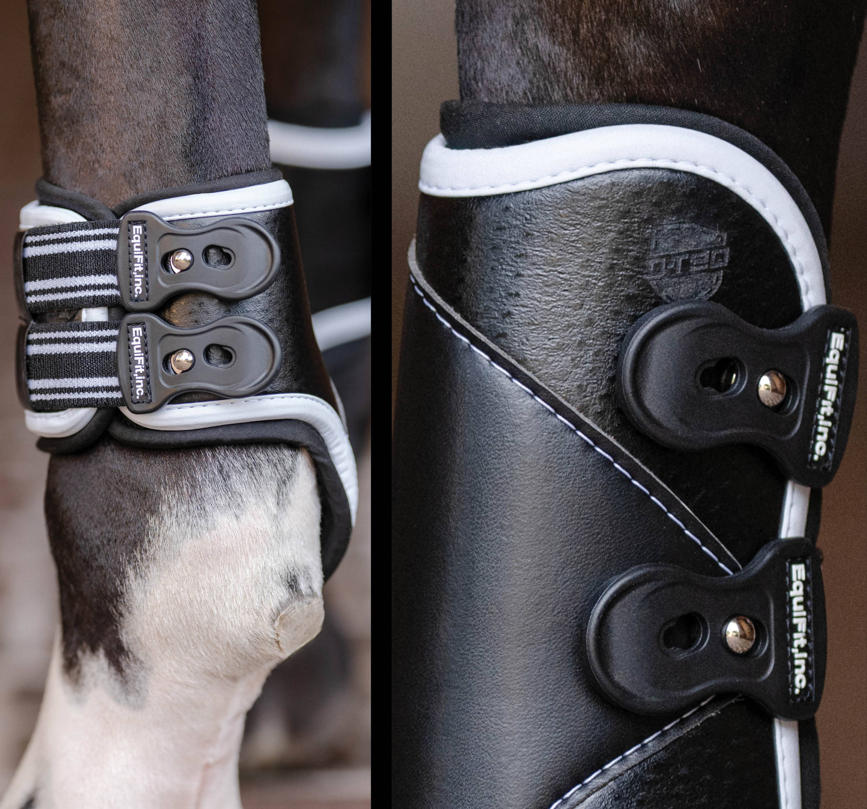 Special Edition D-Teq Front & Hind Boots