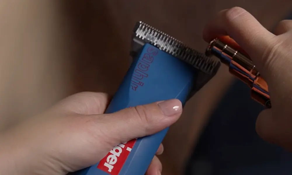 Applying Beautify Oil to horse clippers