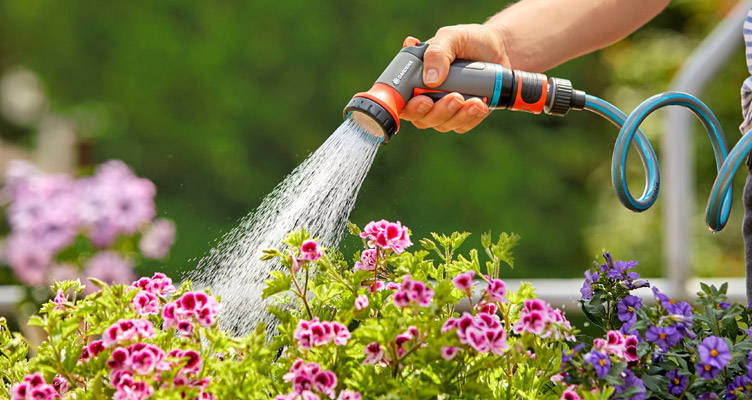 Bewateren in de zomer